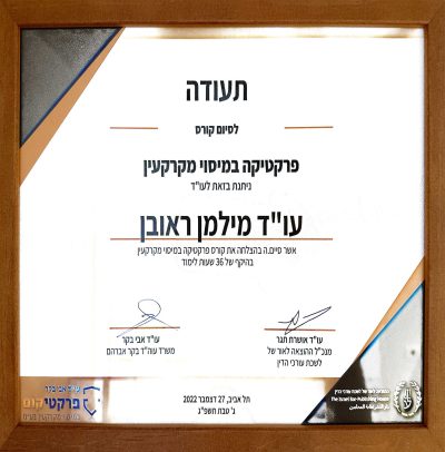 דף הבית 12 22